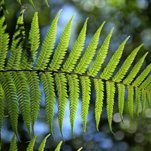 Dag-retraite & Cursus